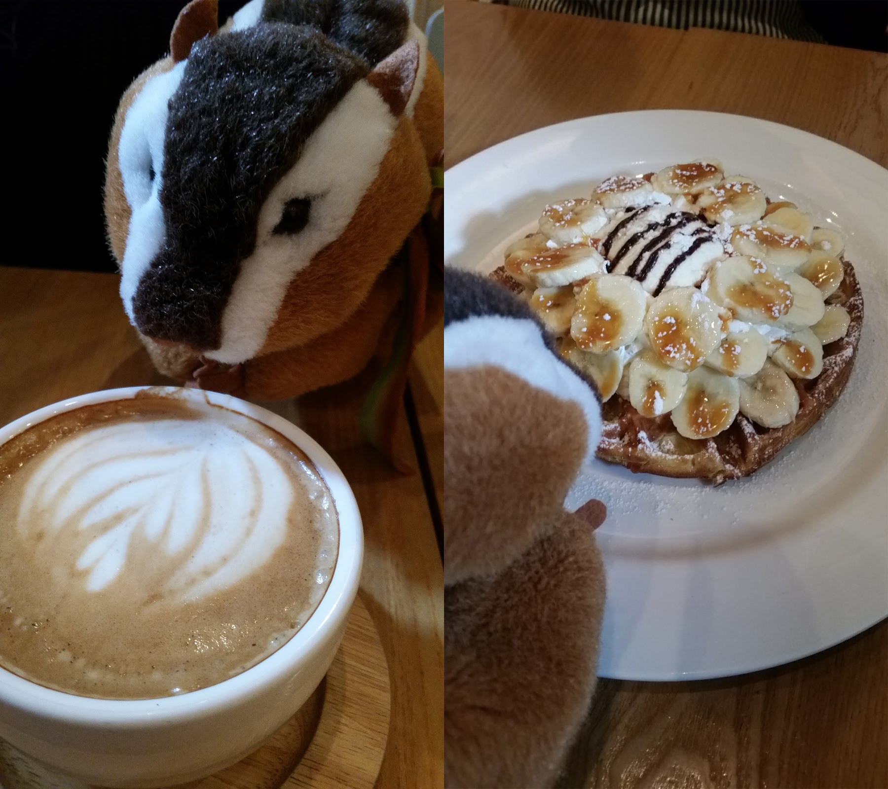 Hongdae - Thanks Nature Latte and Waffle